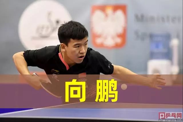 己赢得了宝 己赢得了宝